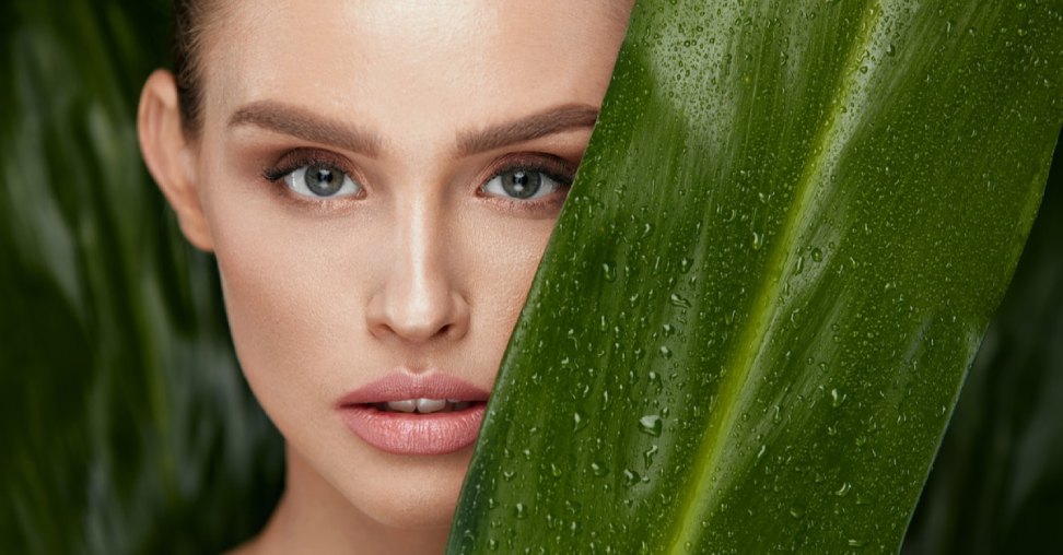 The Popularity of Vegan Beauty Products